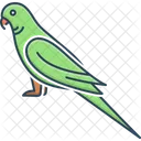 Parrot Lovebird Pet Icon