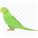 Parrot Yellow Beak Icon