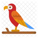 Parrot Wildlife Tropical Icon
