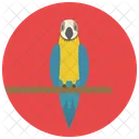 Parrot Pet Bird Icon