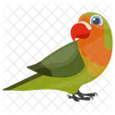 Parrot Bird Feather Creature Icon