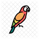 Parrot Tropical Bird Icône