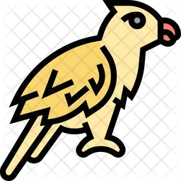 Parrot  Icon