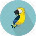 Parrot Aves Bird Icon