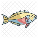 Parrot Beach Fish Icon