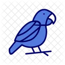 Cockatiel Cockatoo Macaw Icon
