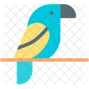 Parrot  Icon