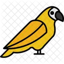 Parrot  Icon