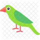 Parrot Animal Beautiful Icon