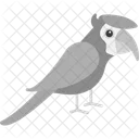 Parrot Animal Bird Icon