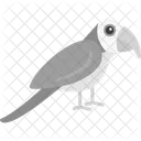 Parrot Beautiful Bird Icon