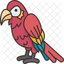 Parrot Macaw Bird Icon