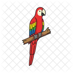 Parrot  Icon