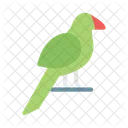 Parrot Bird Exotic Icon