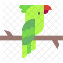 Parrot Mammal Animal Icon