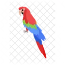 Parrot Ara Macaw Icon