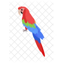 Parrot  Icon