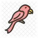 Bird Animal Pet Icon