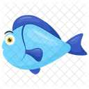 Parrotfish Blue Scarus Icon
