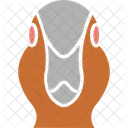 Parrot Bird Macaws Icon