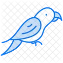 Parrot Bird Animal Icon