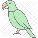 Parrot Bird Tropical Icon