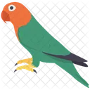 Parrot Pet Animal Icon