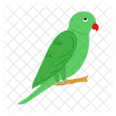 Parrot  Icon