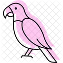 Parrot Bird Tropical Icon
