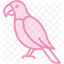 Parrot Bird Tropical Icon