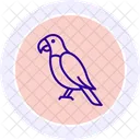 Parrot Bird Tropical Icon