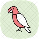 Parrot Bird Tropical Icon