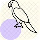 Parrot Pet Bird Icon