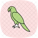 Parrot Pet Bird Icon