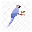 Parrot Bird Tropical Icon