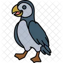 Parrot  Icon