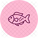 Parrotfish Ocean Marine Icon