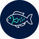 Parrotfish Ocean Marine Icon