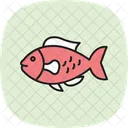 Parrotfish Ocean Marine Icon