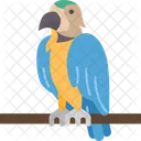 Parrots  Icon