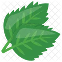 Parsley Leaves Green Icon
