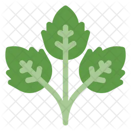 Parsley  Icon