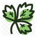 Parsley Herb Leaf Icon