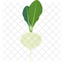 Parsnip Veggies Food Icon