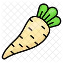 Parsnip Vegetable Food Icon