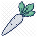 Parsnip Radish Vegetable Icon