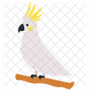 Cockteil Ave Naturaleza Icono