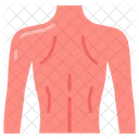 Cuerpo De Espalda Parte De Atras Salud De La Columna Icono
