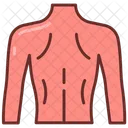 Cuerpo De Espalda Parte De Atras Salud De La Columna Icono