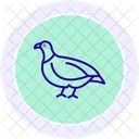 Partridge Bird Game Icon